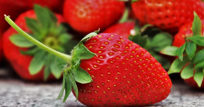 Le meilleur dessert au fruit : une histoire de saison, pas de technique